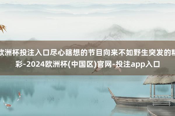 欧洲杯投注入口尽心瞎想的节目向来不如野生突发的精彩-2024欧洲杯(中国区)官网-投注app入口