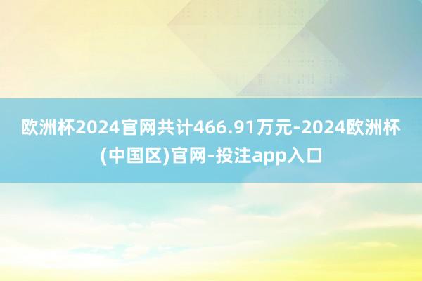 欧洲杯2024官网共计466.91万元-2024欧洲杯(中国区)官网-投注app入口