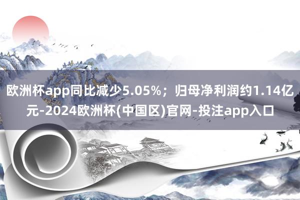 欧洲杯app同比减少5.05%；归母净利润约1.14亿元-2024欧洲杯(中国区)官网-投注app入口