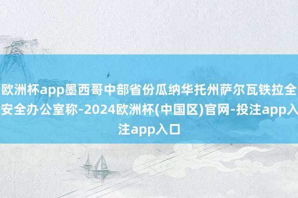 欧洲杯app墨西哥中部省份瓜纳华托州萨尔瓦铁拉全球安全办公室称-2024欧洲杯(中国区)官网-投注app入口