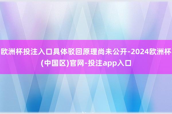欧洲杯投注入口具体驳回原理尚未公开-2024欧洲杯(中国区)官网-投注app入口