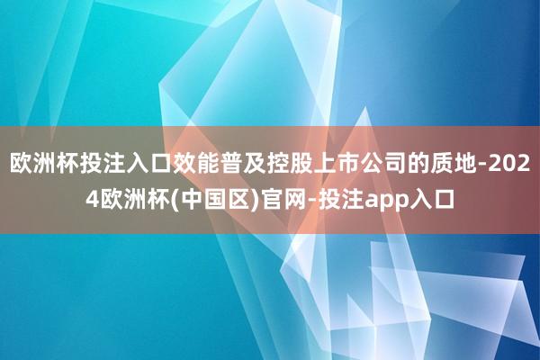 欧洲杯投注入口效能普及控股上市公司的质地-2024欧洲杯(中国区)官网-投注app入口