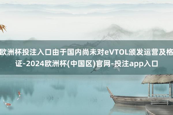 欧洲杯投注入口由于国内尚未对eVTOL颁发运营及格证-2024欧洲杯(中国区)官网-投注app入口