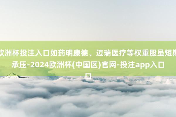 欧洲杯投注入口如药明康德、迈瑞医疗等权重股虽短期承压-2024欧洲杯(中国区)官网-投注app入口