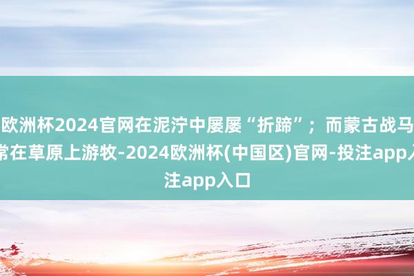 欧洲杯2024官网在泥泞中屡屡“折蹄”；而蒙古战马日常在草原上游牧-2024欧洲杯(中国区)官网-投注app入口