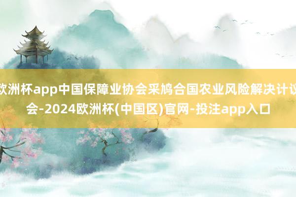欧洲杯app中国保障业协会采鸠合国农业风险解决计议会-2024欧洲杯(中国区)官网-投注app入口