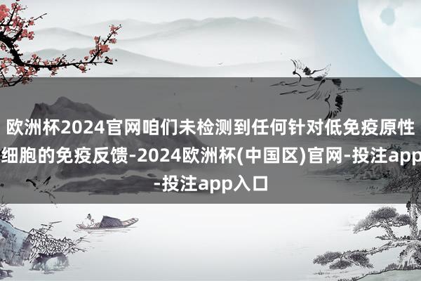 欧洲杯2024官网咱们未检测到任何针对低免疫原性胰岛细胞的免疫反馈-2024欧洲杯(中国区)官网-投注app入口