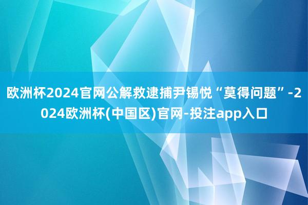 欧洲杯2024官网公解救逮捕尹锡悦“莫得问题”-2024欧洲杯(中国区)官网-投注app入口
