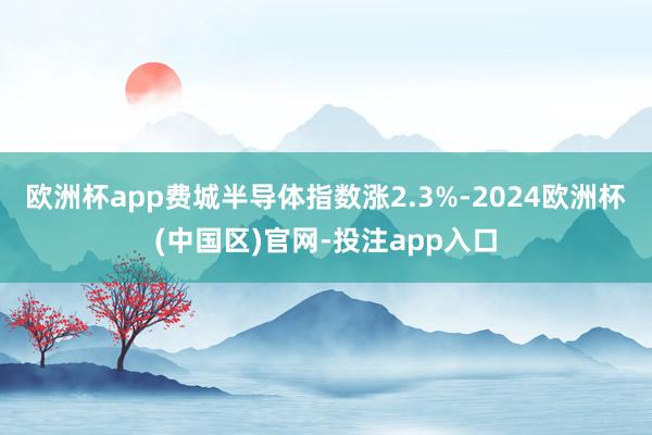欧洲杯app费城半导体指数涨2.3%-2024欧洲杯(中国区)官网-投注app入口