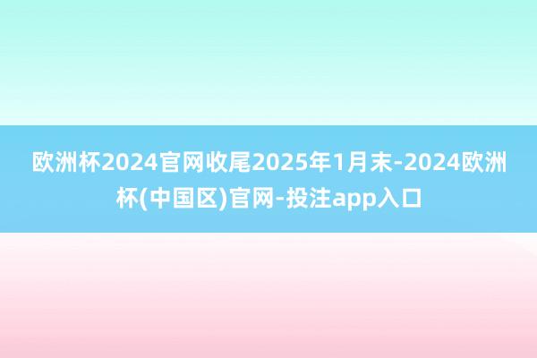 欧洲杯2024官网　　收尾2025年1月末-2024欧洲杯(中国区)官网-投注app入口