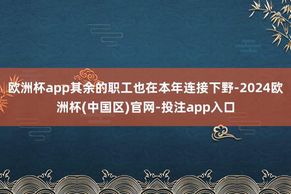 欧洲杯app其余的职工也在本年连接下野-2024欧洲杯(中国区)官网-投注app入口
