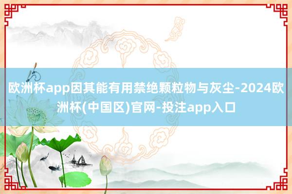 欧洲杯app因其能有用禁绝颗粒物与灰尘-2024欧洲杯(中国区)官网-投注app入口