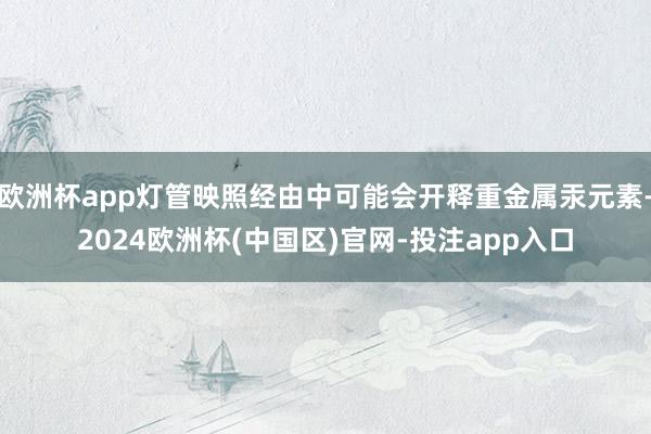欧洲杯app灯管映照经由中可能会开释重金属汞元素-2024欧洲杯(中国区)官网-投注app入口
