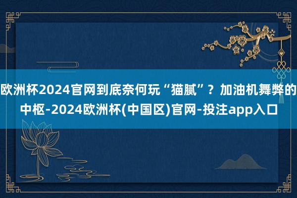 欧洲杯2024官网到底奈何玩“猫腻”？加油机舞弊的中枢-2024欧洲杯(中国区)官网-投注app入口