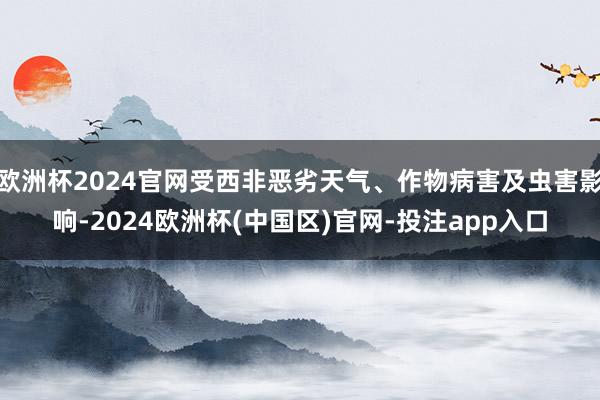欧洲杯2024官网受西非恶劣天气、作物病害及虫害影响-2024欧洲杯(中国区)官网-投注app入口
