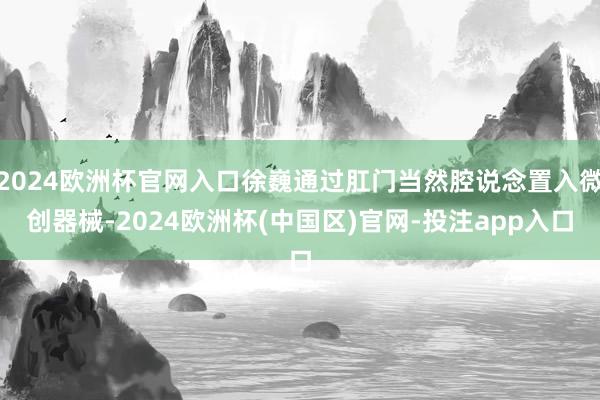 2024欧洲杯官网入口徐巍通过肛门当然腔说念置入微创器械-2024欧洲杯(中国区)官网-投注app入口