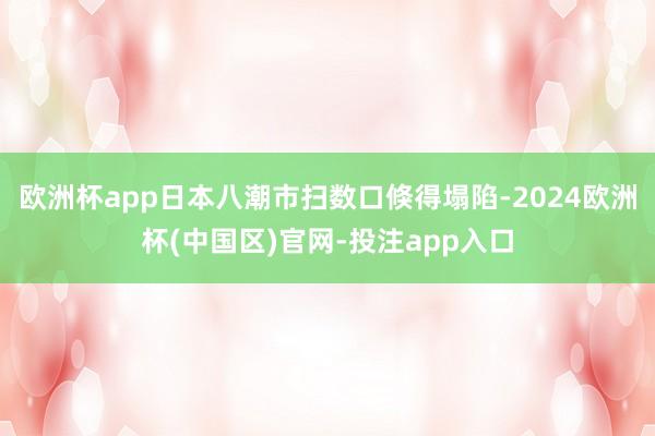 欧洲杯app日本八潮市扫数口倏得塌陷-2024欧洲杯(中国区)官网-投注app入口