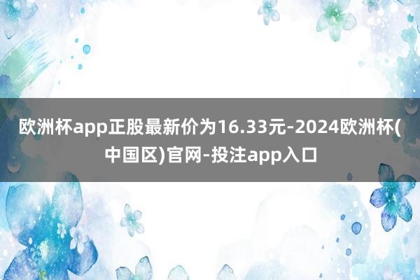 欧洲杯app正股最新价为16.33元-2024欧洲杯(中国区)官网-投注app入口