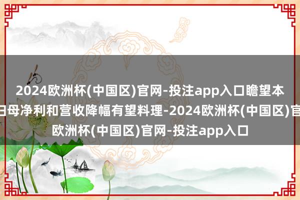 2024欧洲杯(中国区)官网-投注app入口瞻望本年上半年上市行归母净利和营收降幅有望料理-2024欧洲杯(中国区)官网-投注app入口