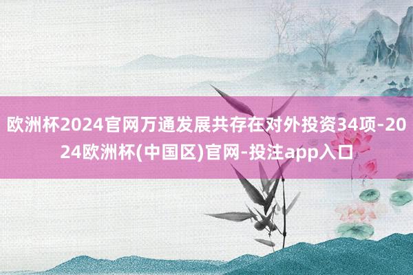 欧洲杯2024官网万通发展共存在对外投资34项-2024欧洲杯(中国区)官网-投注app入口