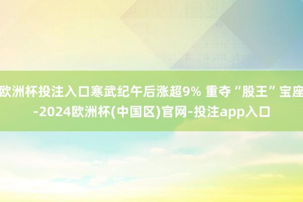 欧洲杯投注入口寒武纪午后涨超9% 重夺“股王”宝座-2024欧洲杯(中国区)官网-投注app入口