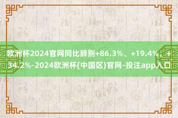 欧洲杯2024官网同比辞别+86.3%、+19.4%、+34.2%-2024欧洲杯(中国区)官网-投注app入口