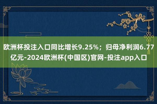 欧洲杯投注入口同比增长9.25%；归母净利润6.77亿元-2024欧洲杯(中国区)官网-投注app入口