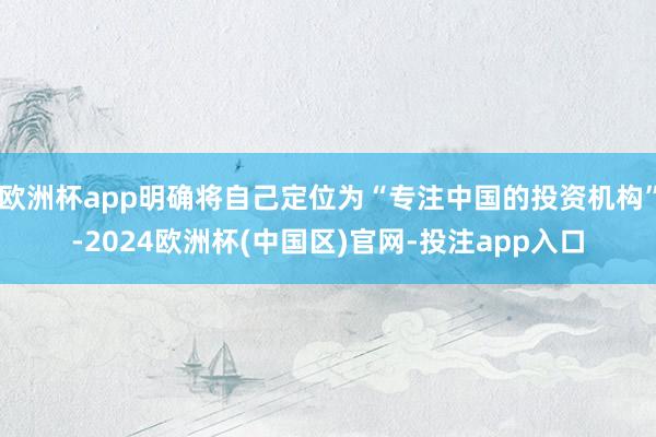 欧洲杯app明确将自己定位为“专注中国的投资机构”-2024欧洲杯(中国区)官网-投注app入口