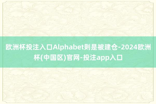 欧洲杯投注入口Alphabet则是被建仓-2024欧洲杯(中国区)官网-投注app入口