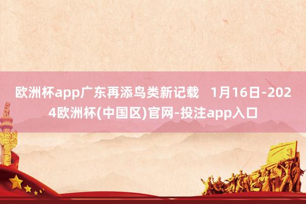 欧洲杯app广东再添鸟类新记载   1月16日-2024欧洲杯(中国区)官网-投注app入口